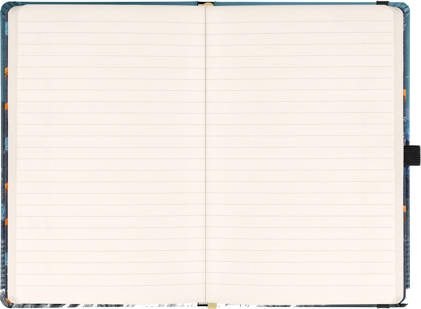 Notizbuch Animalium – Lucie Jenčíková, liniert, 13 x 21 cm