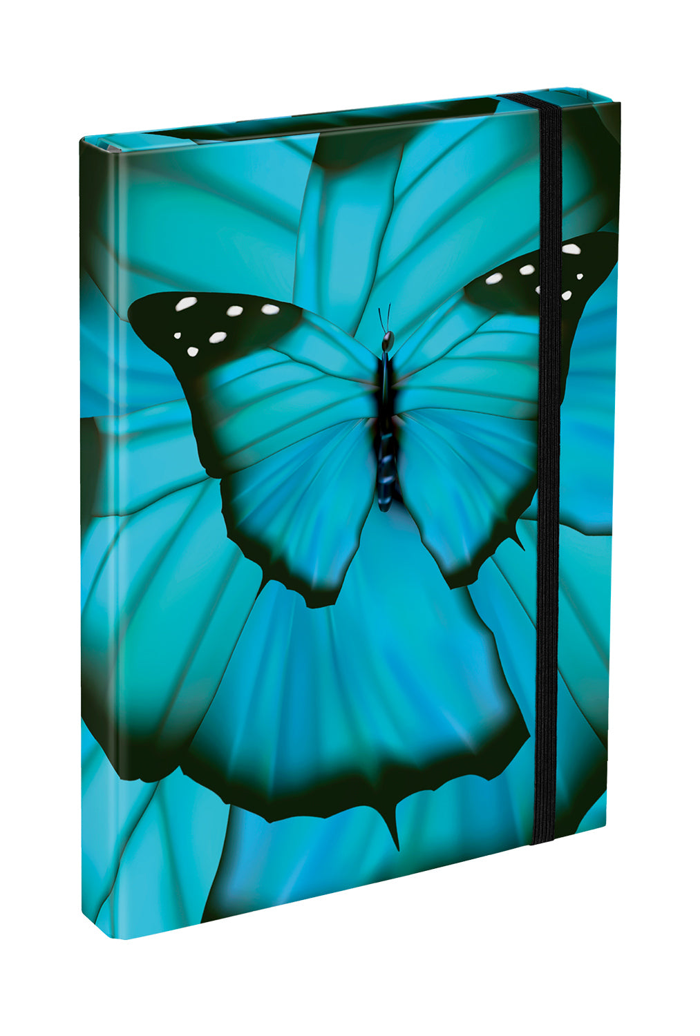 Ergo Butterfly Schulranzen-Set 7tlg.: Schulranzen, Federmäppchen, Turnbeutel, Geldbörse, Heftmappe, Brotdose, Faltkoffer