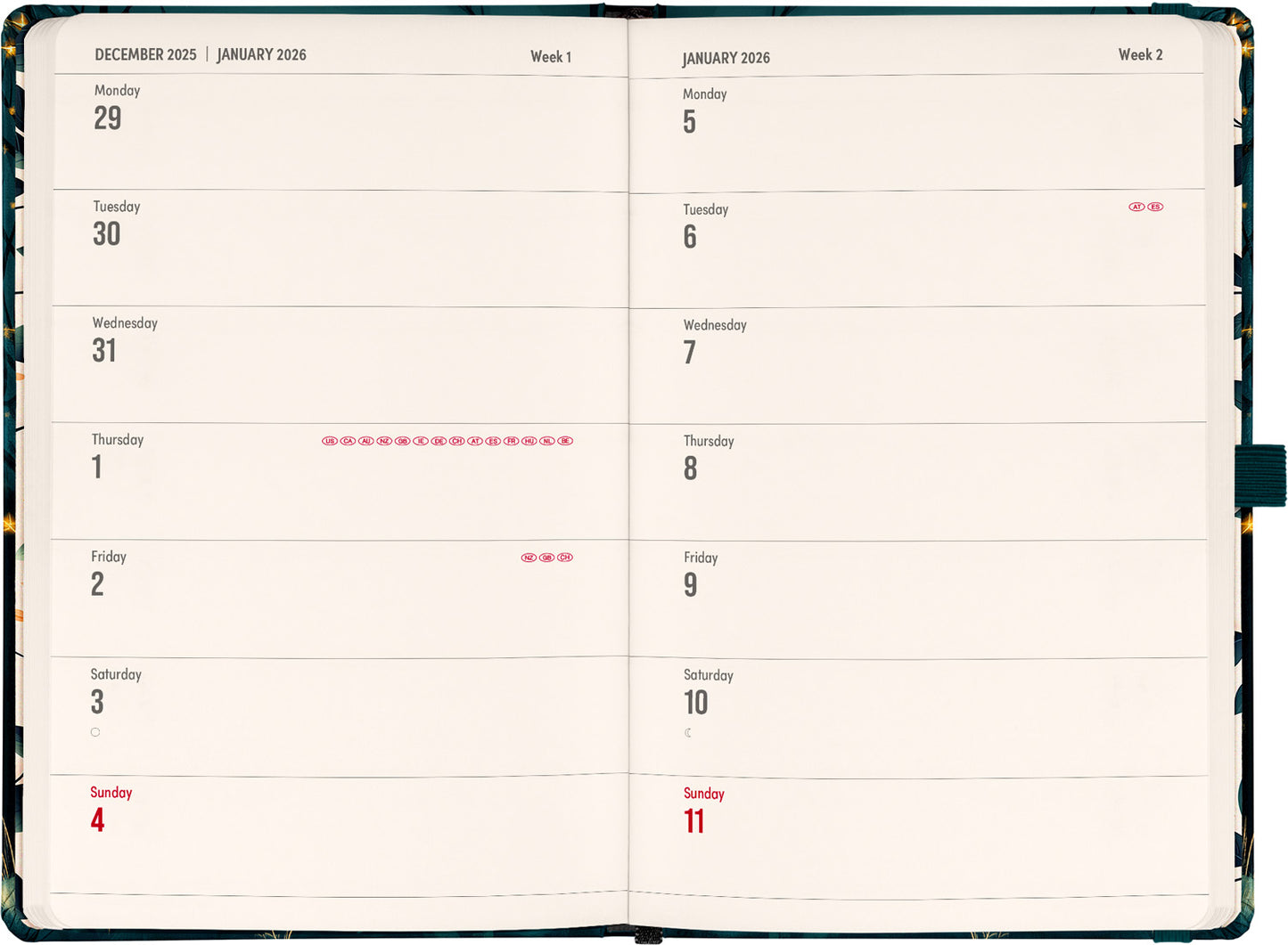Planbook Kalender/Notizbuch Fuchs 2026, 13 x 21 cm