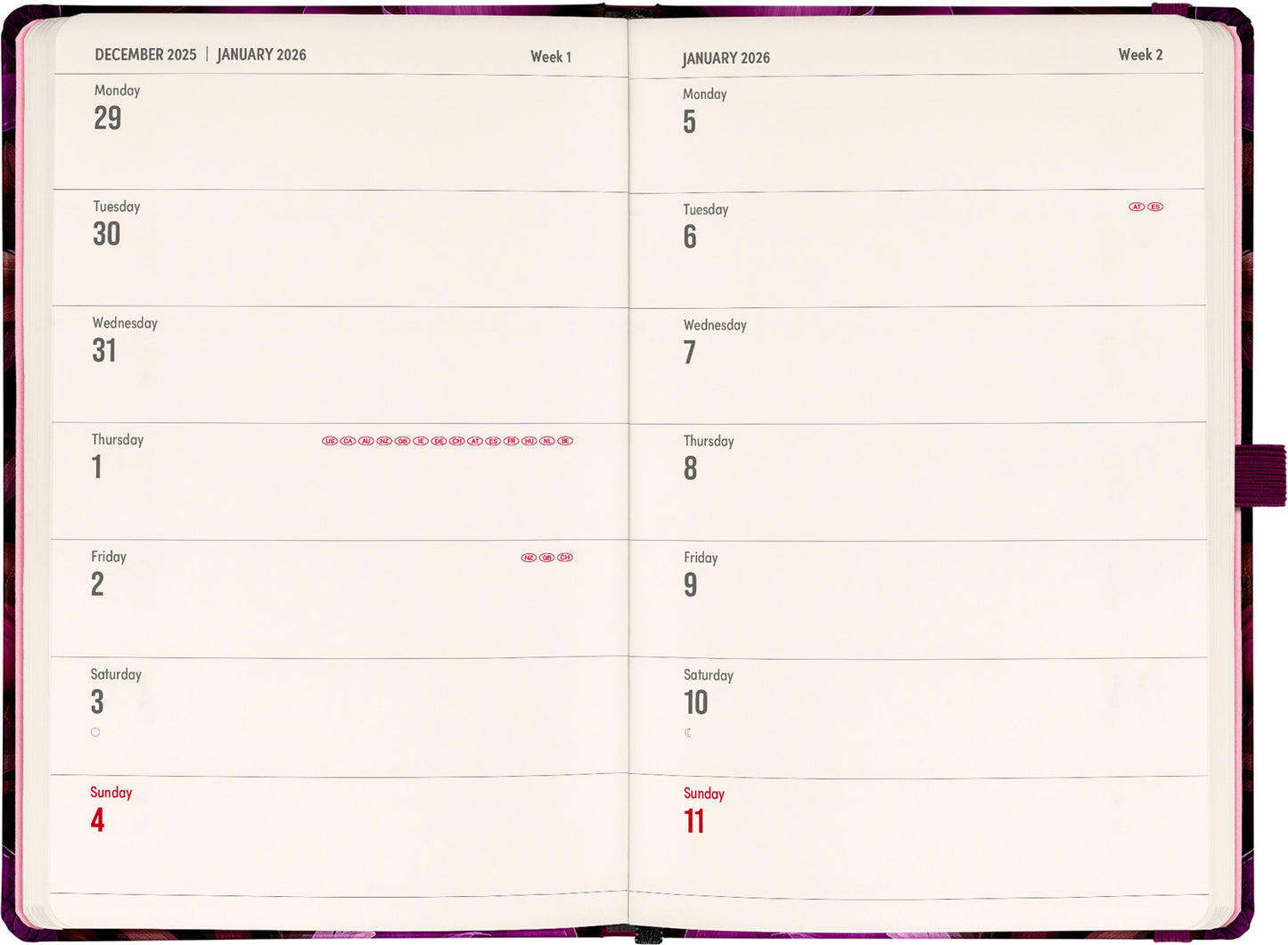 Planbook Kalender/Notizbuch Violette Blumen 2026, 13 x 21 cm