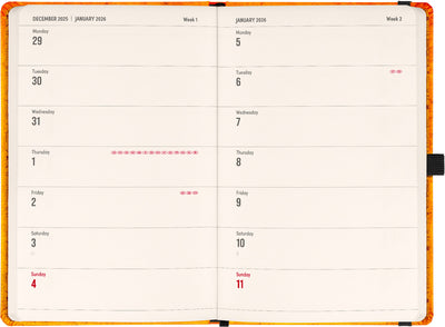 Planbook Kalender/Notizbuch Harry Potter – Hogwarts 2026, 13 x 21 cm