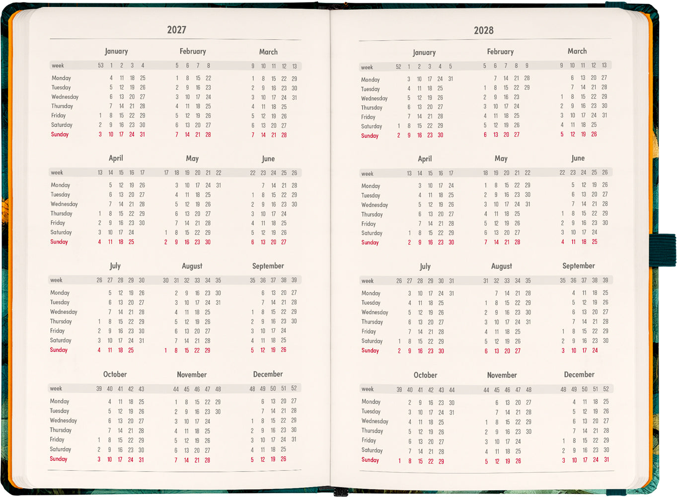 Planbook Planer/Notizbuch Cat 2027, 13 x 21 cm