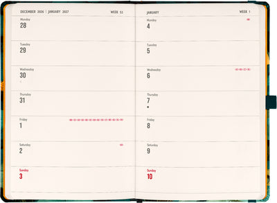 Planbook Planer/Notizbuch Cat 2027, 13 x 21 cm