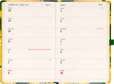 Planbook Planer/Notizbuch Lemons 2027, 13 x 21 cm
