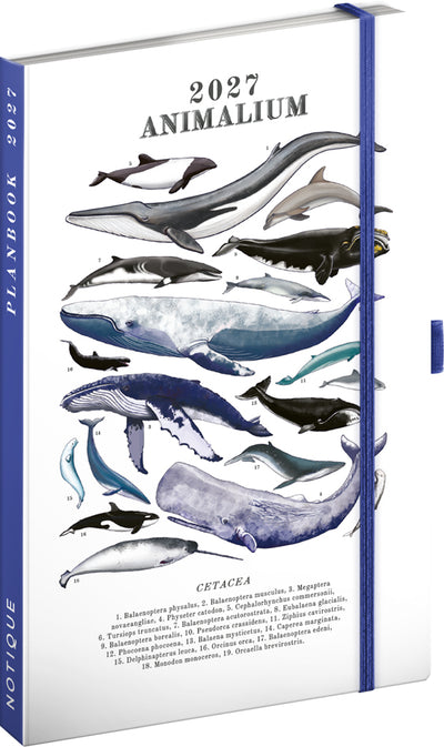 Planbook Planer/Notizbuch Marine Life 2027, 13 x 21 cm