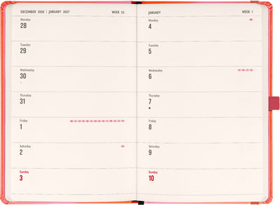 Planbook Planer/Notizbuch Coral 2027, 13 x 21 cm
