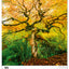 Wandkalender Bäume 2026, 33 x 46 cm