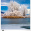 Wandkalender Bäume 2026, 33 x 46 cm