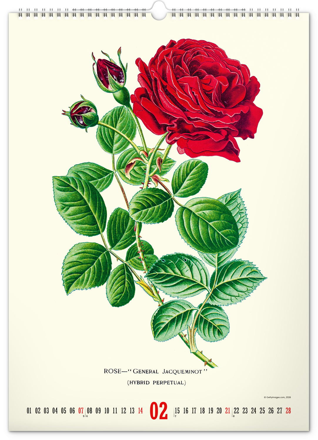 Wandkalender Vintage-Plakate – Herbarium 2027, 33 x 46 cm