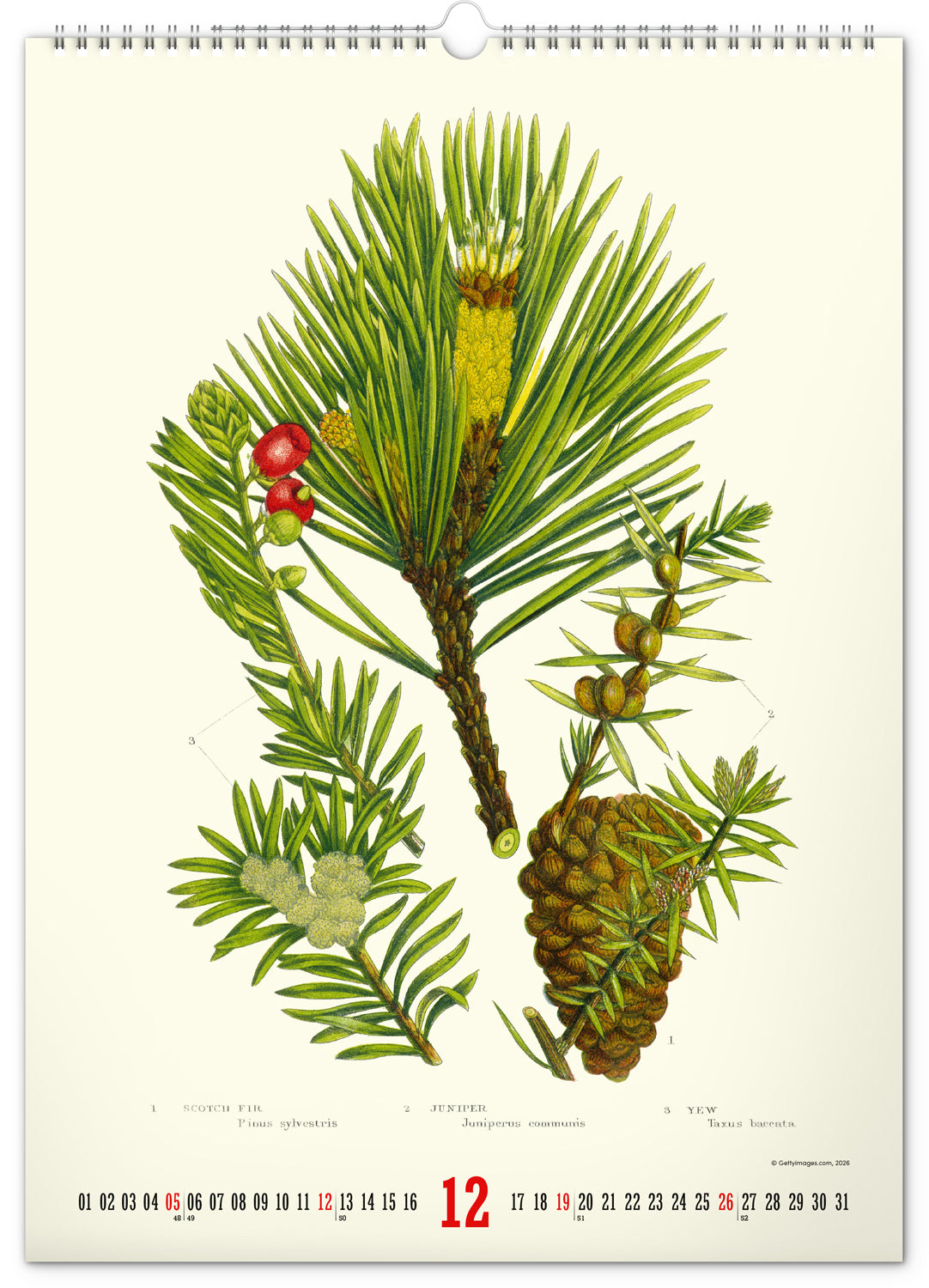 Wandkalender Vintage-Plakate – Herbarium 2027, 33 x 46 cm