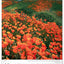 Wandkalender Berge 2027, 33 x 46 cm