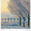 Wandkalender Bäume 2027, 33 x 46 cm