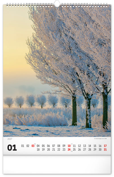 Wandkalender Bäume 2027, 33 x 46 cm