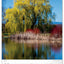 Wandkalender Bäume 2027, 33 x 46 cm