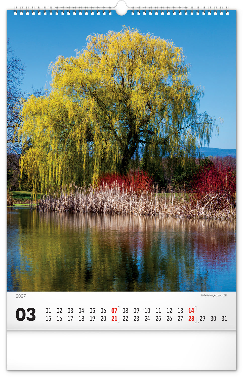 Wandkalender Bäume 2027, 33 x 46 cm