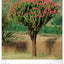 Wandkalender Bäume 2027, 33 x 46 cm
