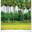 Wandkalender Bäume 2027, 33 x 46 cm