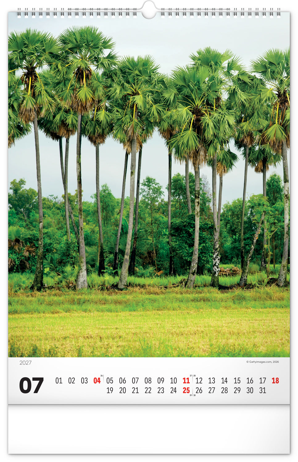 Wandkalender Bäume 2027, 33 x 46 cm