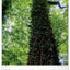 Wandkalender Bäume 2027, 33 x 46 cm