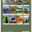 Wandkalender Bäume 2027, 33 x 46 cm