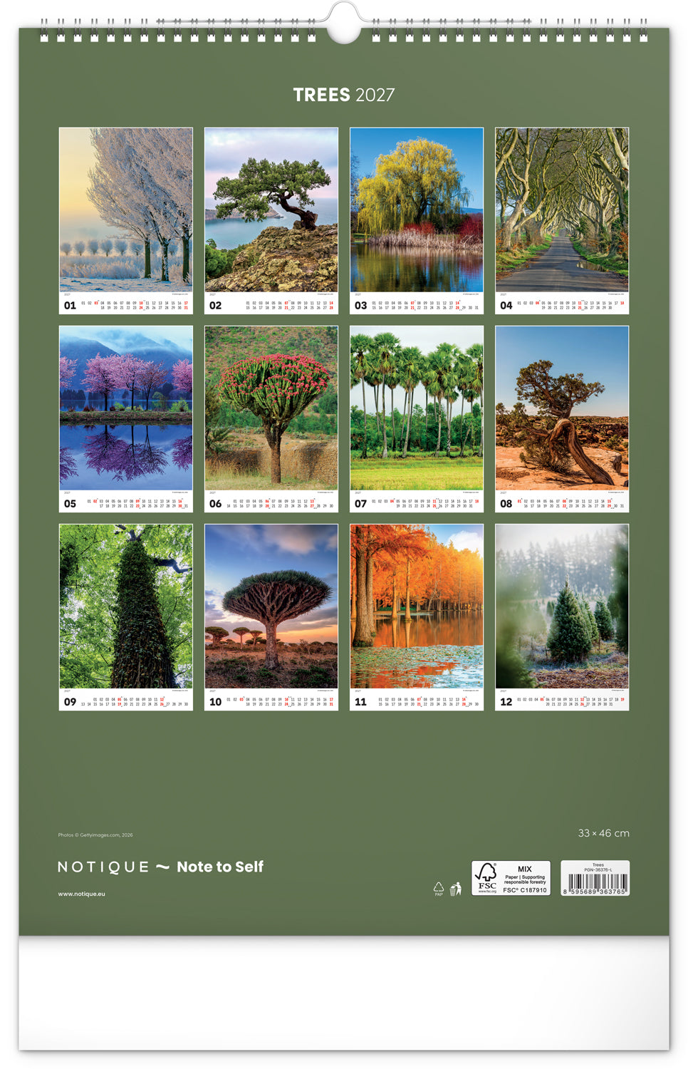 Wandkalender Bäume 2027, 33 x 46 cm