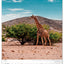Wandkalender Nationalparks der Welt 2027, 33 x 46 cm
