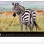 Wandkalender Lebendiges Afrika 2027, 48 x 33 cm