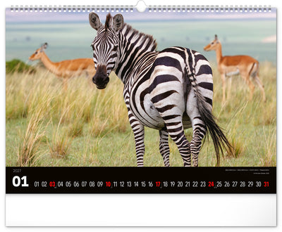 Wandkalender Lebendiges Afrika 2027, 48 x 33 cm