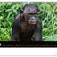 Wandkalender Lebendiges Afrika 2027, 48 x 33 cm
