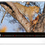Wandkalender Lebendiges Afrika 2027, 48 x 33 cm