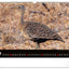 Wandkalender Lebendiges Afrika 2027, 48 x 33 cm