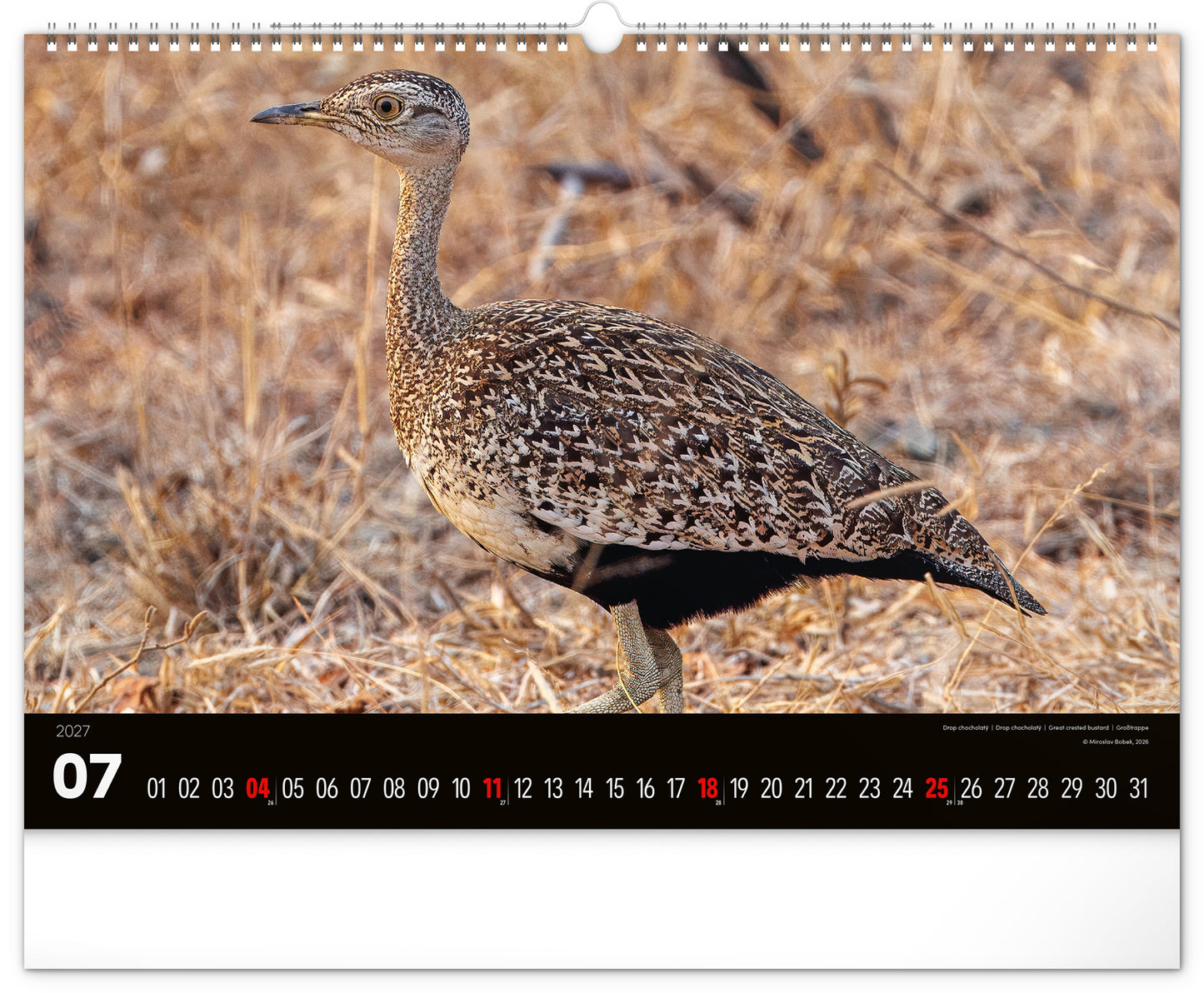 Wandkalender Lebendiges Afrika 2027, 48 x 33 cm