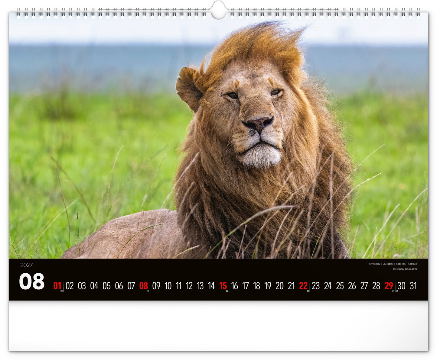 Wandkalender Lebendiges Afrika 2027, 48 x 33 cm