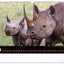 Wandkalender Lebendiges Afrika 2027, 48 x 33 cm