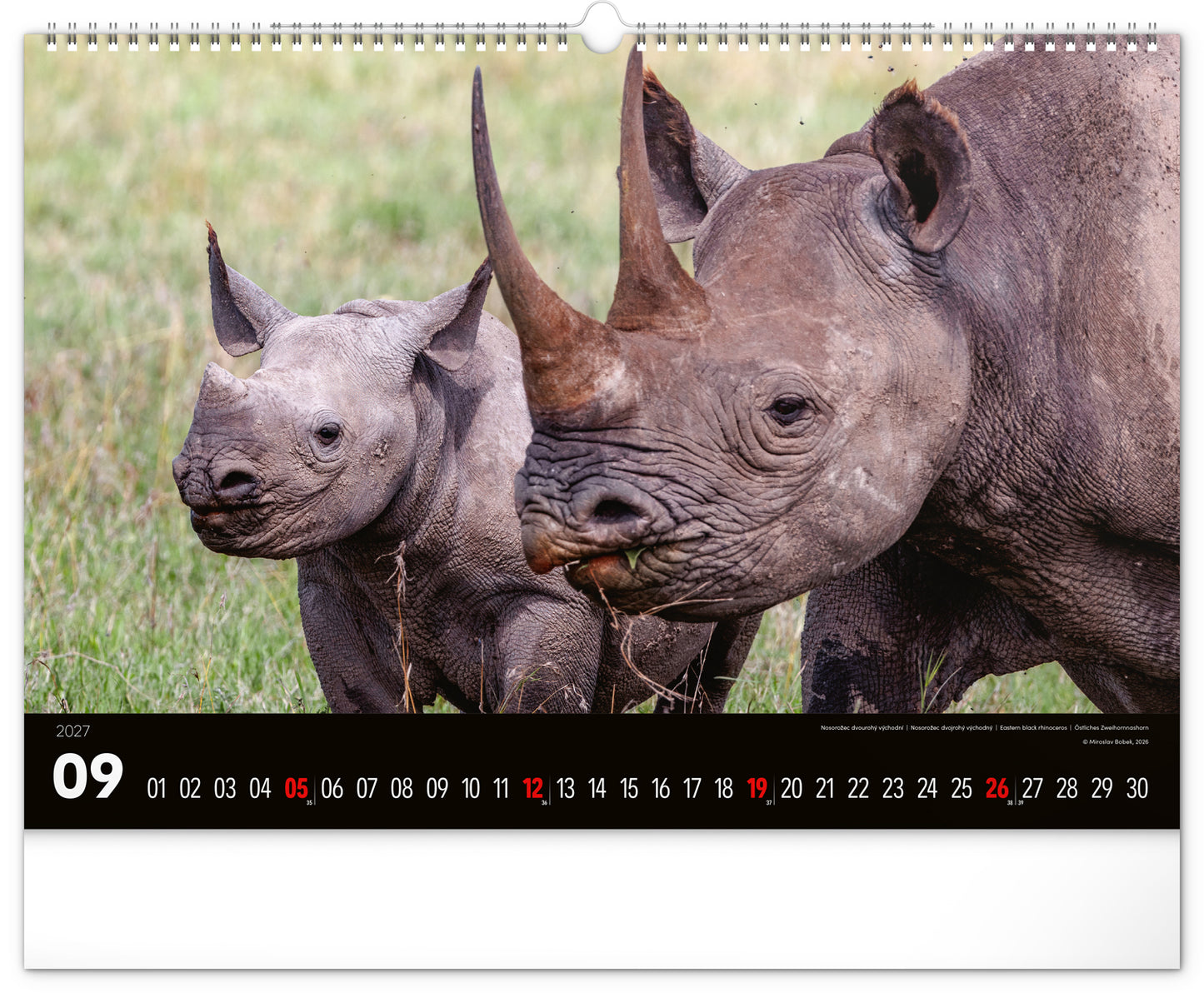 Wandkalender Lebendiges Afrika 2027, 48 x 33 cm