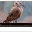 Wandkalender Lebendiges Afrika 2027, 48 x 33 cm