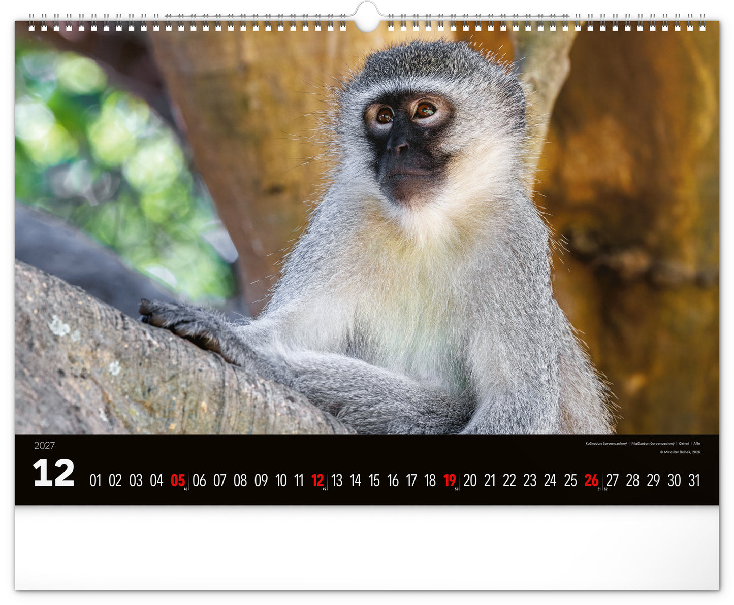 Wandkalender Lebendiges Afrika 2027, 48 x 33 cm