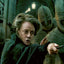 Broschürenkalender Harry Potter 2024