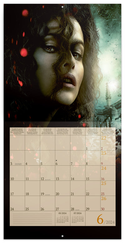 Broschürenkalender Harry Potter 2024