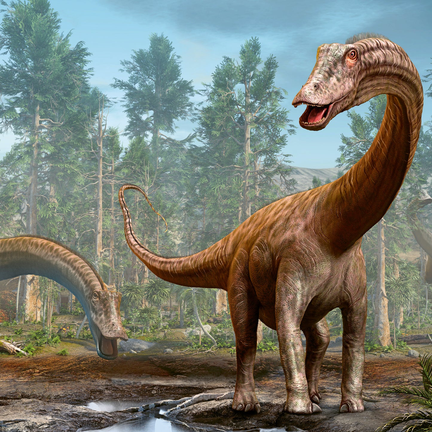 Broschürenkalender Dinosaurier 2024, 30 × 30 cm