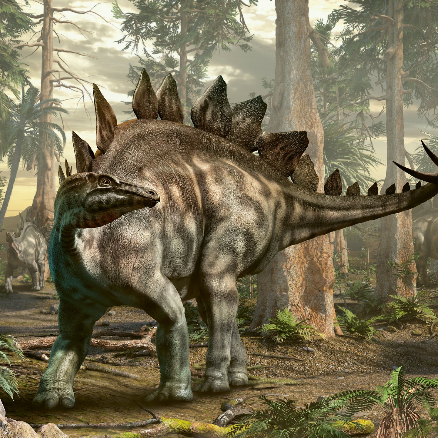 Broschürenkalender Dinosaurier 2024, 30 × 30 cm