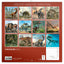 Broschürenkalender Dinosaurier 2024, 30 × 30 cm