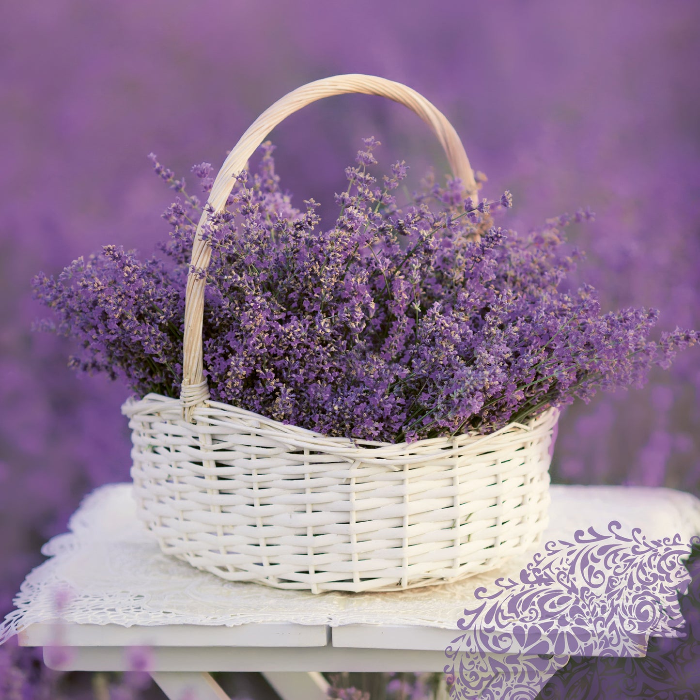 Broschürenkalender Provence 2024, duftig, 30 × 30 cm