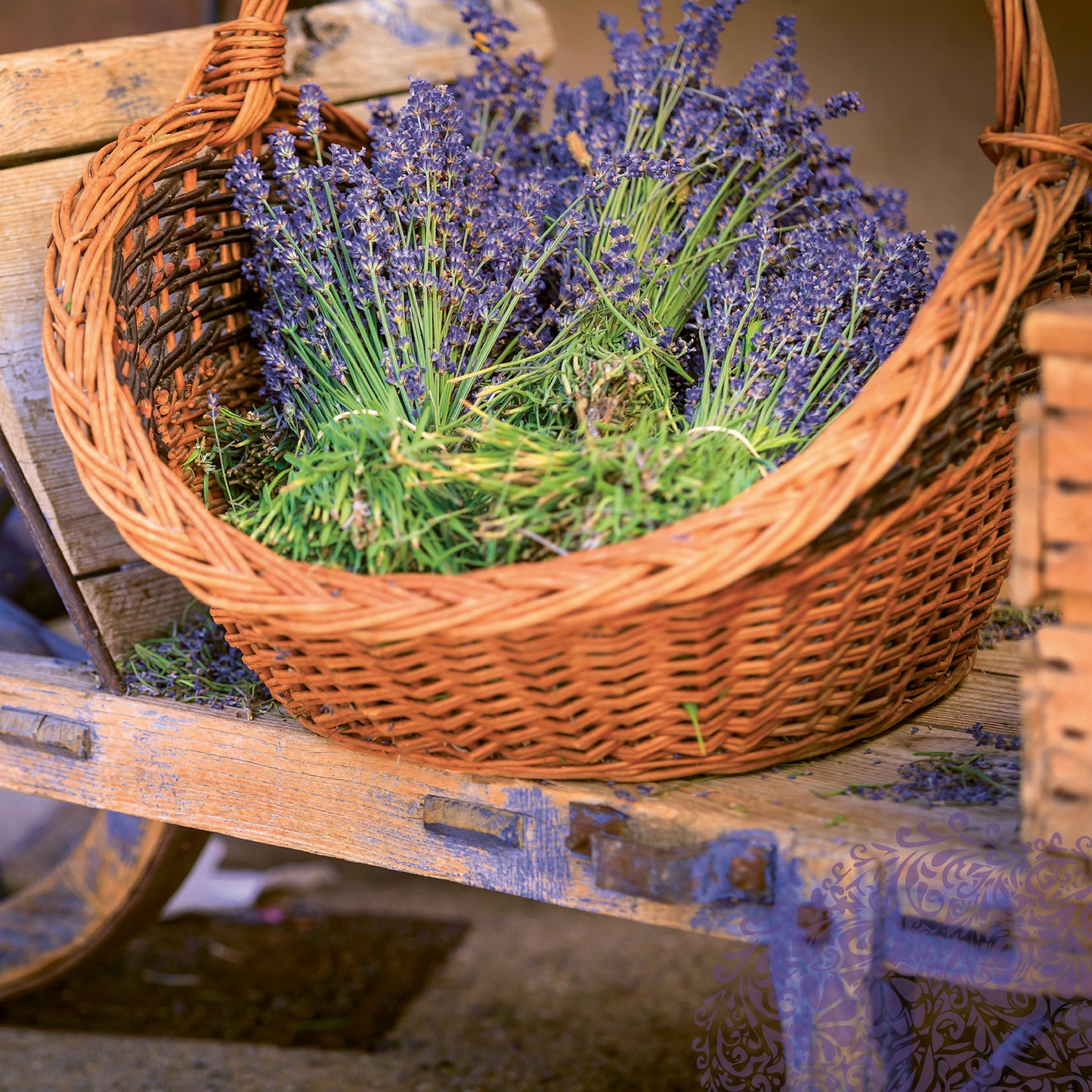 Broschürenkalender Provence 2024, duftig, 30 × 30 cm