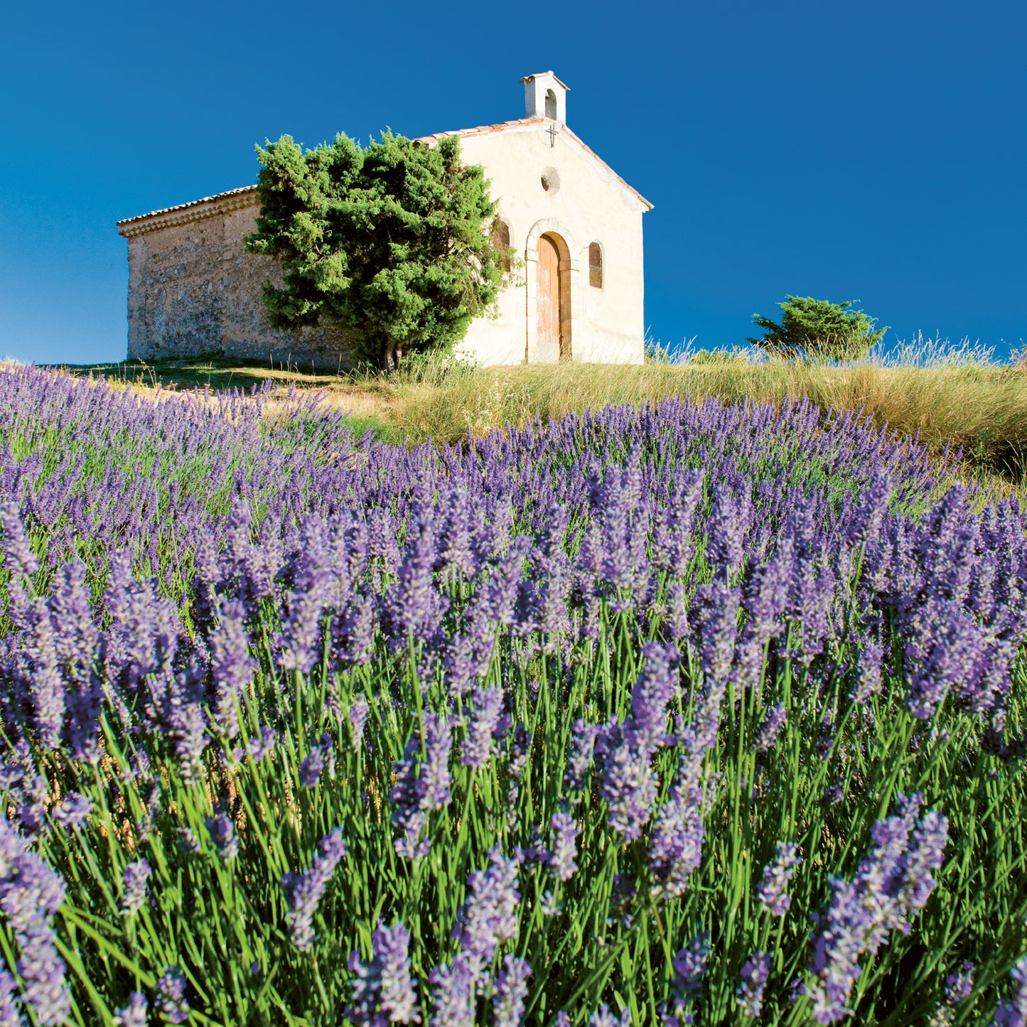 Broschürenkalender Provence 2024, duftig, 30 × 30 cm