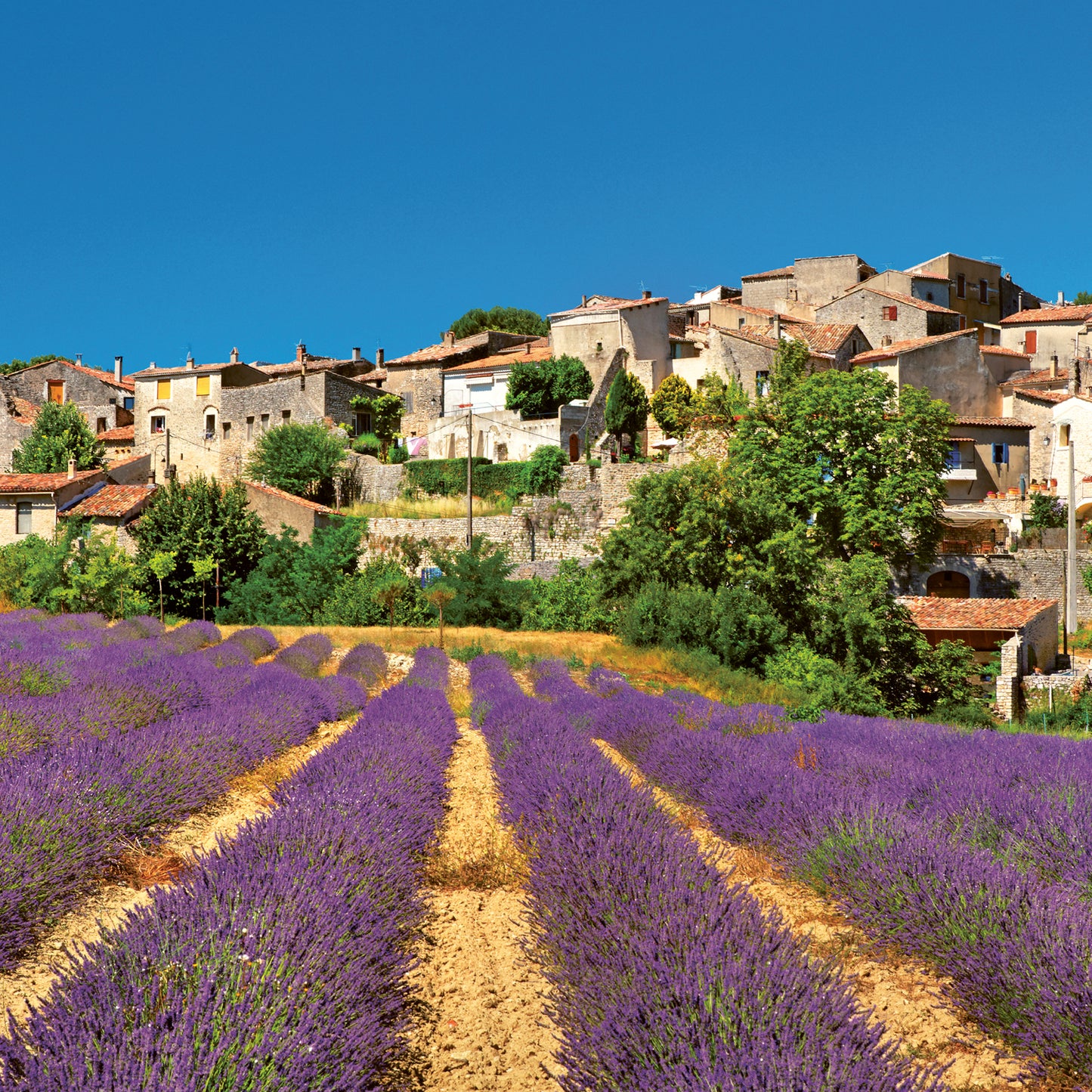 Broschürenkalender Provence 2024, duftig, 30 × 30 cm