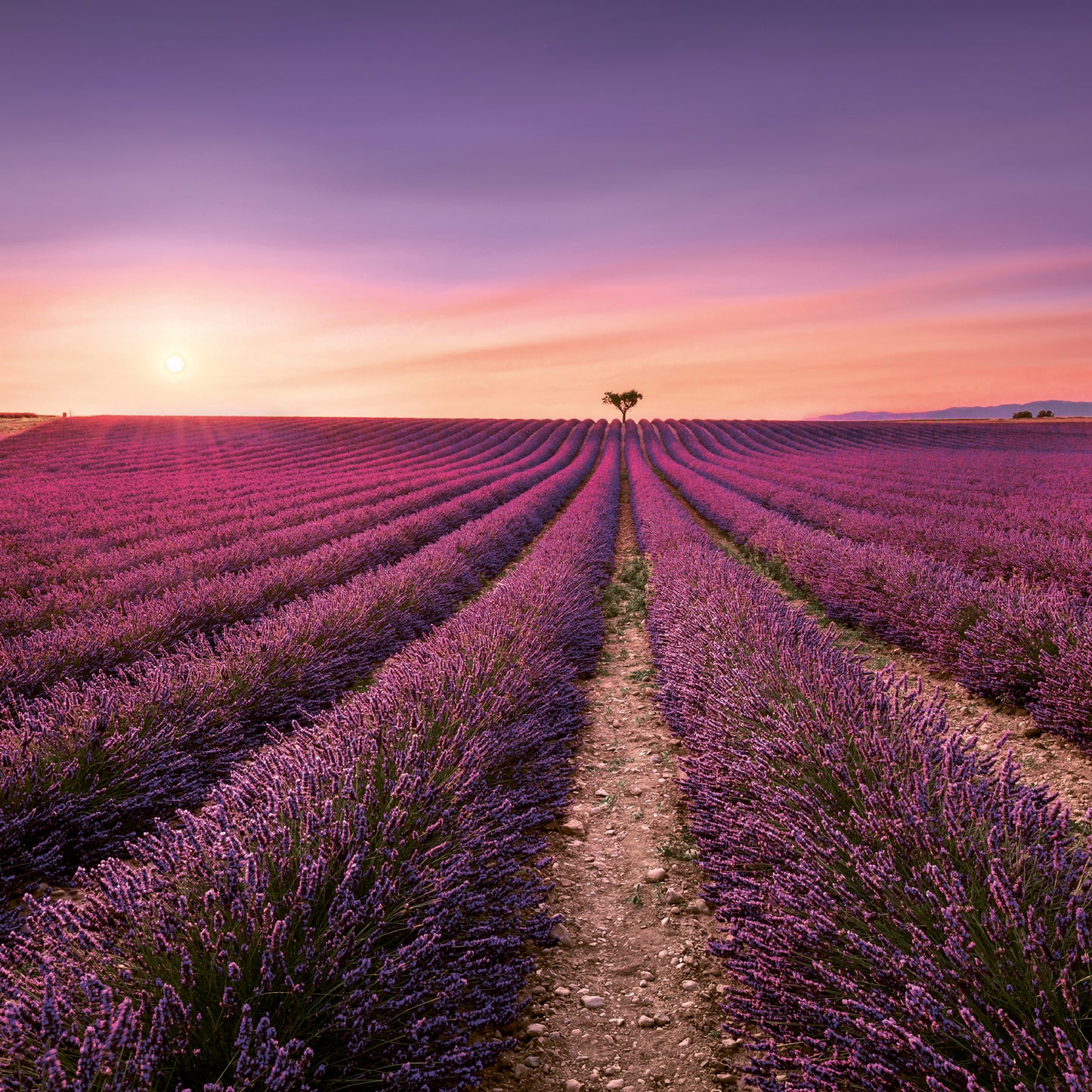 Broschürenkalender Provence 2024, duftig, 30 × 30 cm