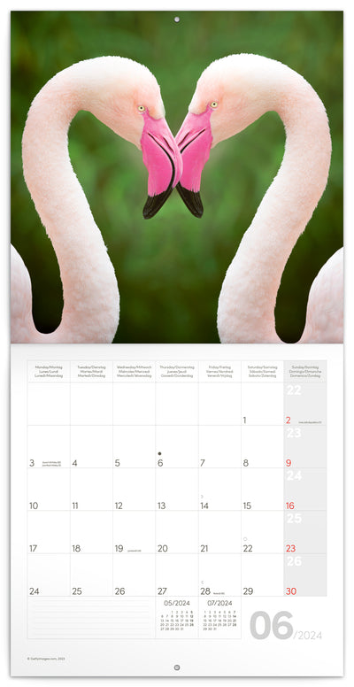 Broschürenkalender Jungtier 2024, 30 × 30 cm
