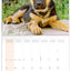 Broschürenkalender Welpen 2024