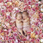 Broschürenkalender Babies - Věra Zlevorová 2025, 30 x 30 cm